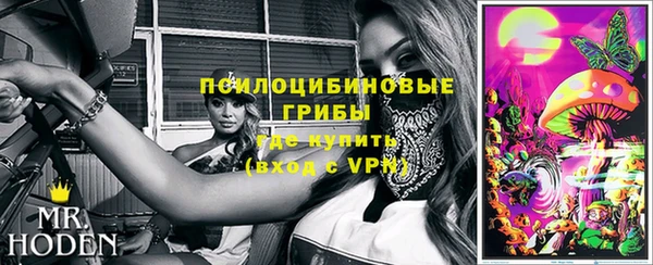 шишки Дмитров