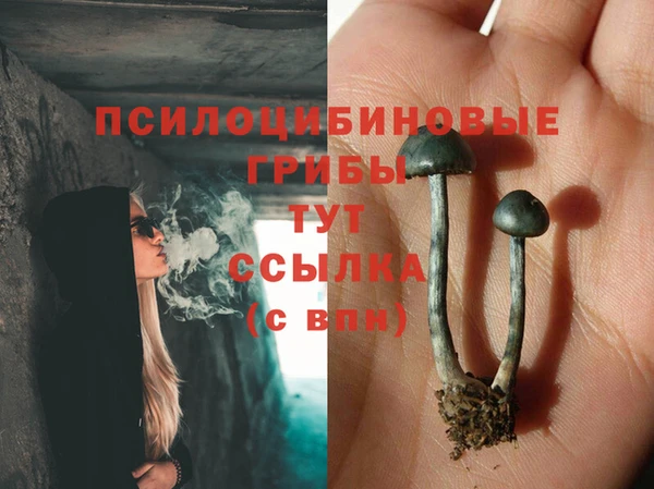 гашиш Дмитриев