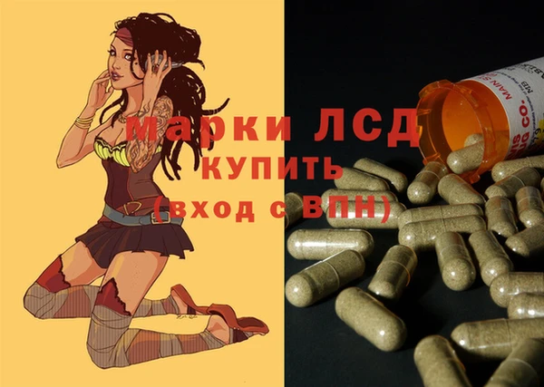 шишки Дмитров