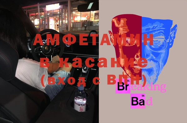 шишки Дмитров