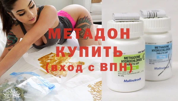 шишки Дмитров