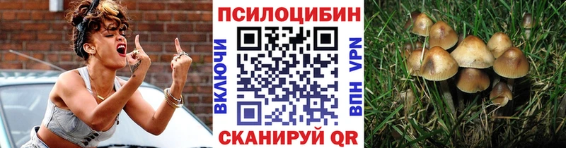 гидра ссылка  Новоржев  Галлюциногенные грибы Cubensis 